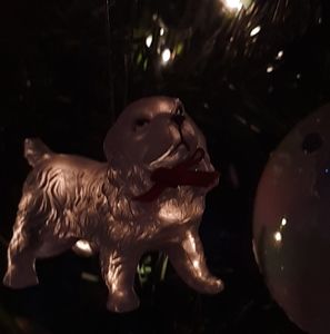 Meet your Posher, Barbara